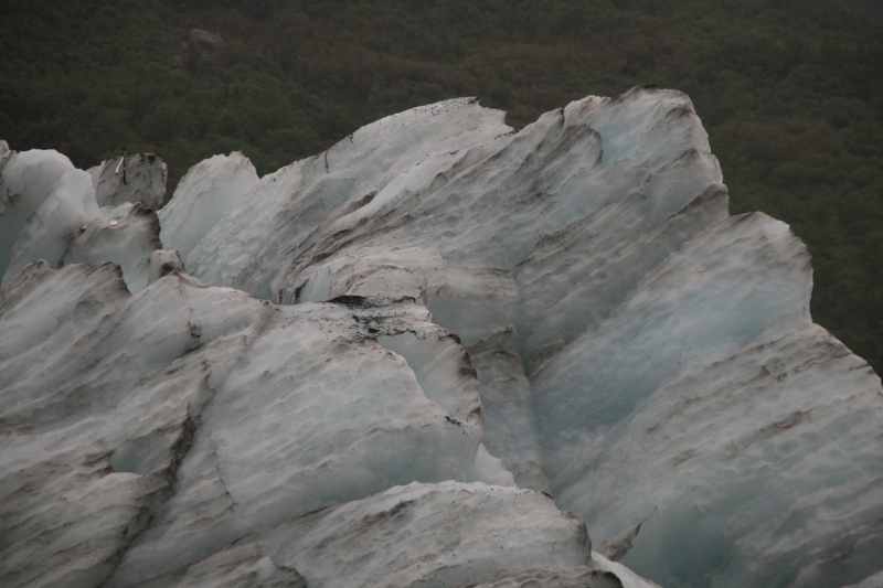 Nieuw-Zeeland 2011 - 1432